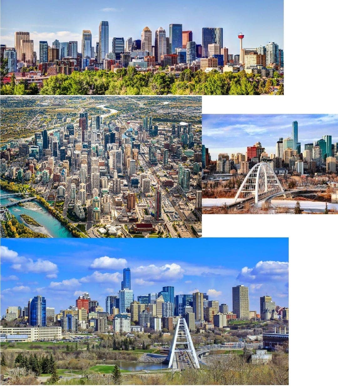 Edmonton's summer skyline from the river valley