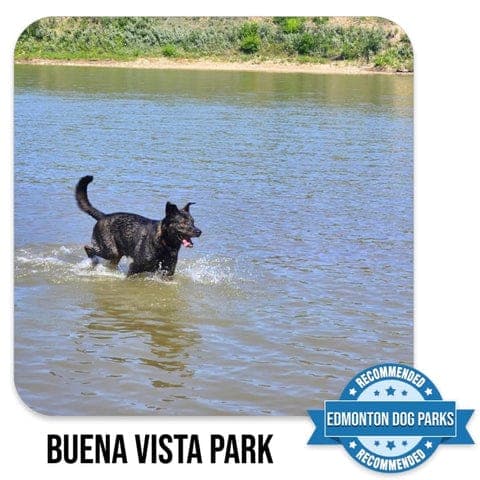 Buena Vista off-leash dog park in Edmonton