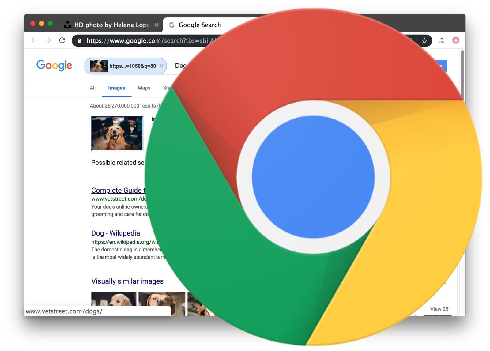 How to perform a reverse image search